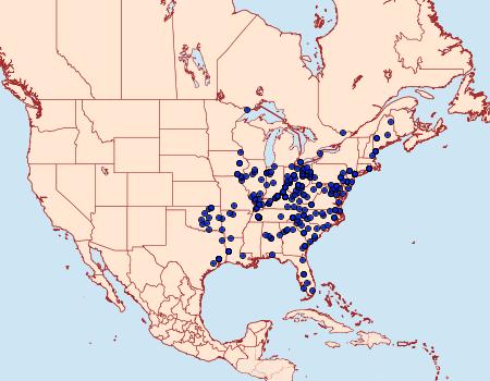 Distribution Data for Clostera inclusa