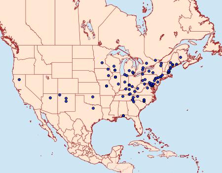 Distribution Data for Macrosaccus robiniella