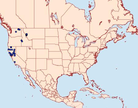 Distribution Data for Datana californica