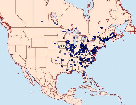 Distribution Data for Datana ministra