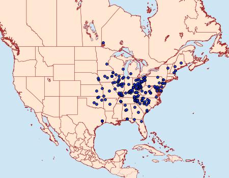 Distribution Data for Datana angusii