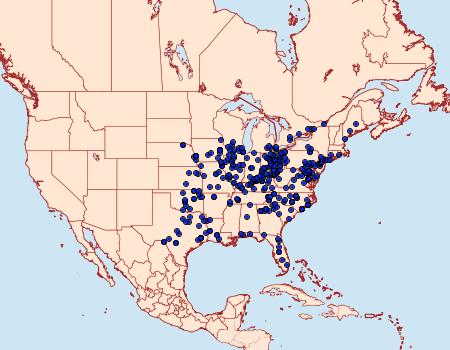 Distribution Data for Datana integerrima