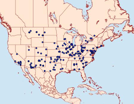 Distribution Data for Datana perspicua