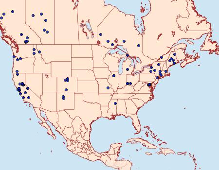 Distribution Data for Phyllonorycter salicifoliella