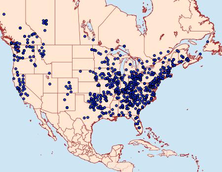 Distribution Data for Nadata gibbosa