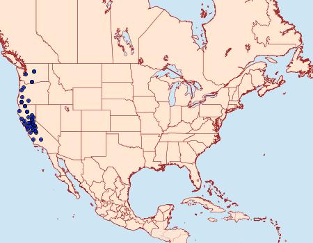 Distribution Data for Nadata oregonensis