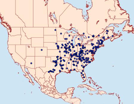 Distribution Data for Paraeschra georgica