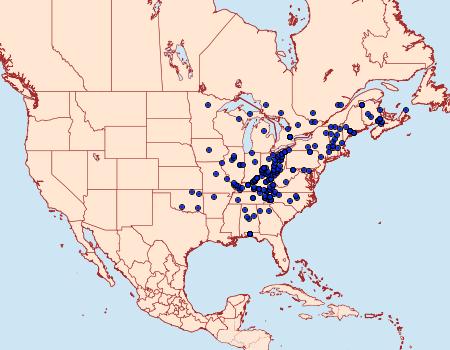 Distribution Data for Peridea basitriens