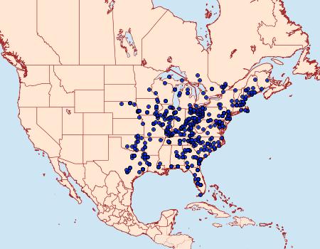 Distribution Data for Peridea angulosa