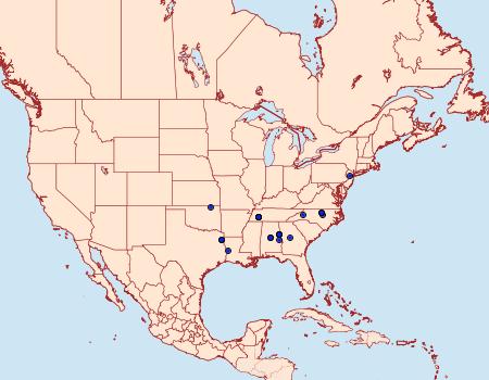 Distribution Data for Peridea bordeloni