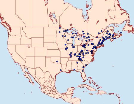 Distribution Data for Peridea ferruginea