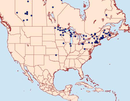 Distribution Data for Notodonta torva