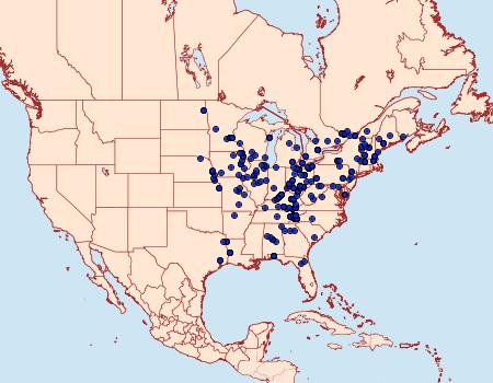 Distribution Data for Ellida caniplaga