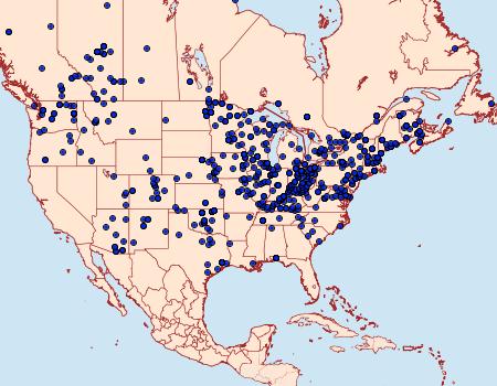 Distribution Data for Gluphisia septentrionis