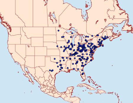 Distribution Data for Furcula borealis