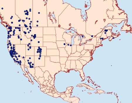 Distribution Data for Furcula scolopendrina