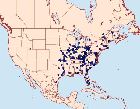 Distribution Data for Symmerista albifrons