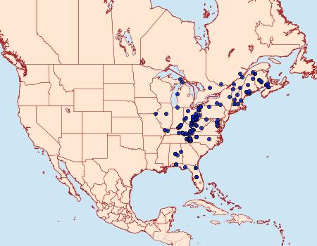 Distribution Data for Dasylophia thyatiroides