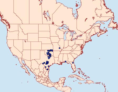 Distribution Data for Litodonta hydromeli