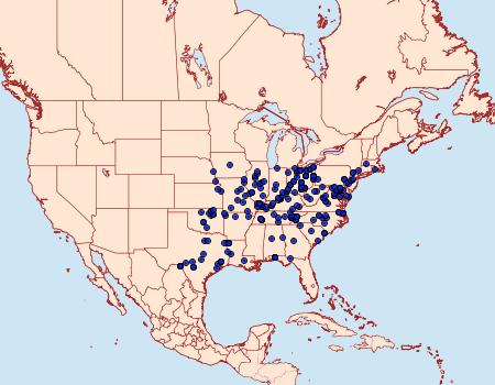 Distribution Data for Misogada unicolor