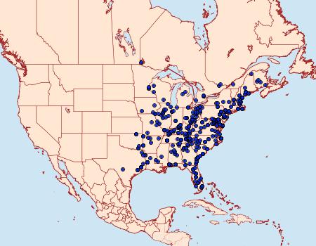 Distribution Data for Macrurocampa marthesia