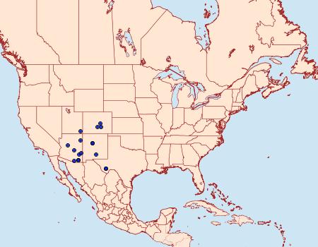 Distribution Data for Macrurocampa dorothea