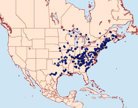 Distribution Data for Heterocampa pulverea