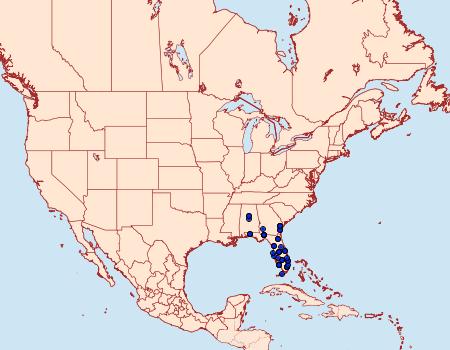 Distribution Data for Heterocampa umbrata