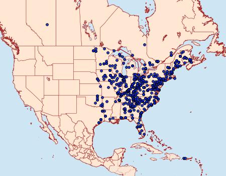 Distribution Data for Cecrita guttivitta