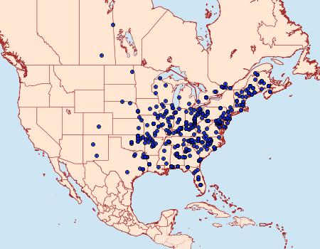 Distribution Data for Lochmaeus manteo