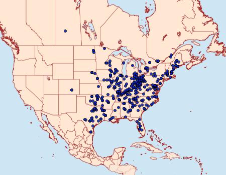 Distribution Data for Lochmaeus bilineata