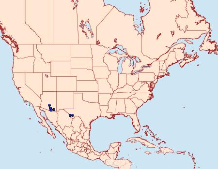 Distribution Data for Praeschausia zapata