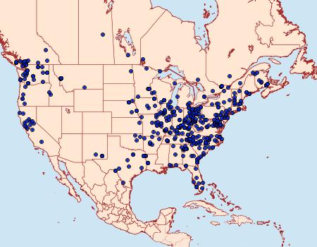 Distribution Data for Schizura ipomaeae