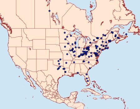 Distribution Data for Schizura badia