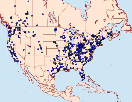 Distribution Data for Coelodasys unicornis