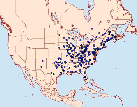 Distribution Data for Ianassa lignicolor