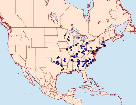 Distribution Data for Hyparpax aurora