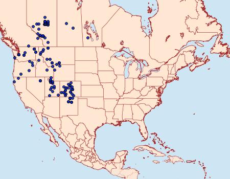 Distribution Data for Gnophaela vermiculata