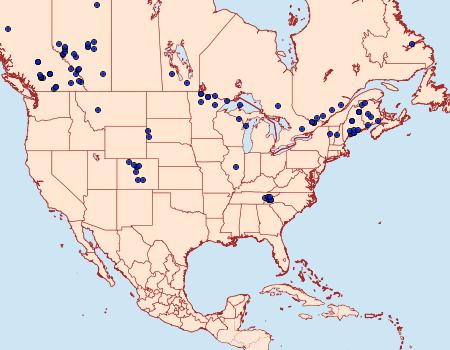 Distribution Data for Manulea bicolor