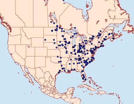 Distribution Data for Crambidia pallida