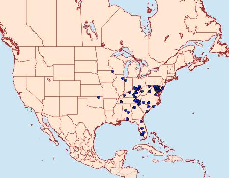 Distribution Data for Crambidia uniformis