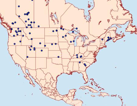 Distribution Data for Crambidia casta