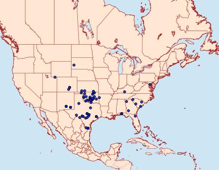 Distribution Data for Cisthene tenuifascia