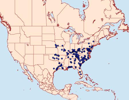 Distribution Data for Cisthene plumbea