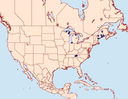 Distribution Data for Cameraria arcuella