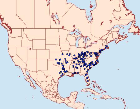 Distribution Data for Cisthene packardii