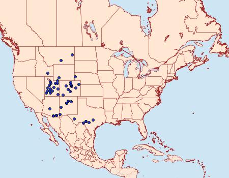 Distribution Data for Cisthene barnesii