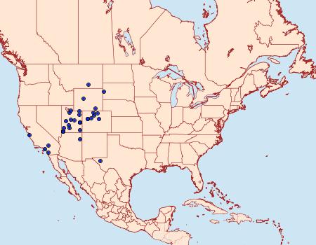 Distribution Data for Lycomorpha grotei