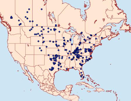 Distribution Data for Hypoprepia miniata