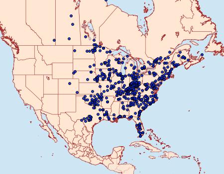 Distribution Data for Hypoprepia fucosa